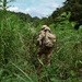 Steel, Sweat, and Fire: 2-23 Infantry Conducts Live Fire Exercise