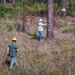 Longleaf Pine Research