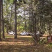 Longleaf Pine Research