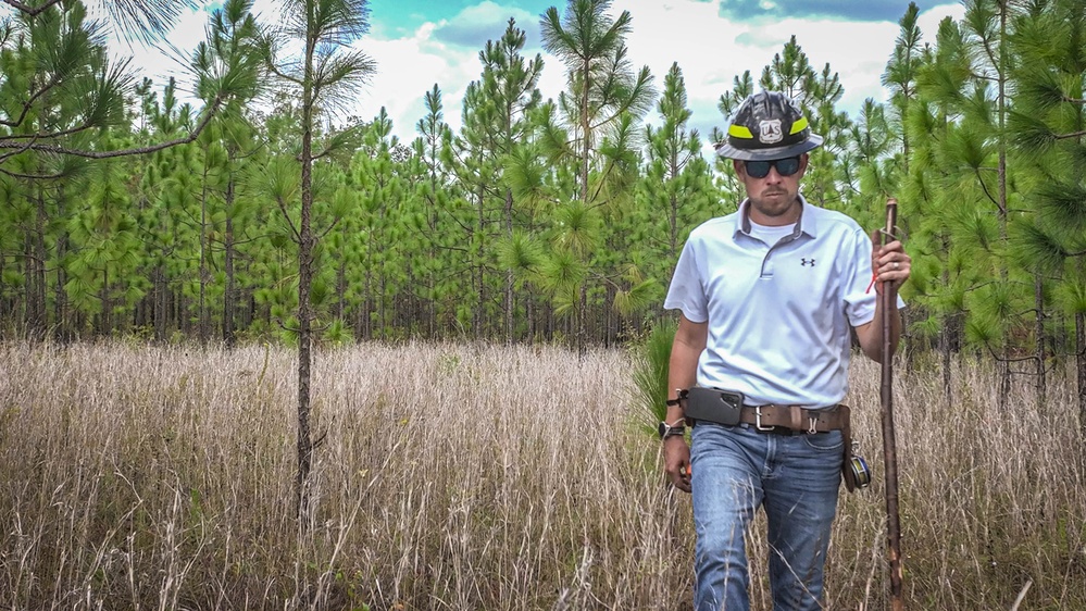 Longleaf Pine Research