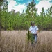 Longleaf Pine Research