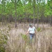 Longleaf Pine Research
