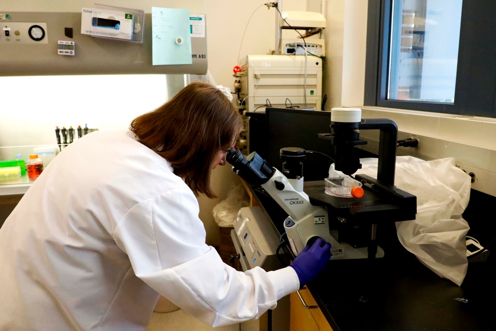 Navy Medicine and Army Medicine Researchers Submit Provisional Patent for Antimicrobial Therapy