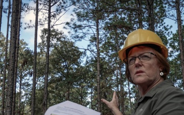 Longleaf Pine Research