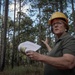 Longleaf Pine Research