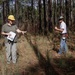 Longleaf Pine Research