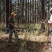 Longleaf Pine Research