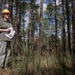 Longleaf Pine Research