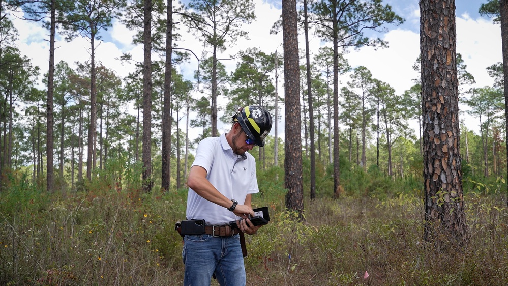 Longleaf Pine Research