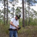 Longleaf Pine Research