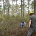 Longleaf Pine Research