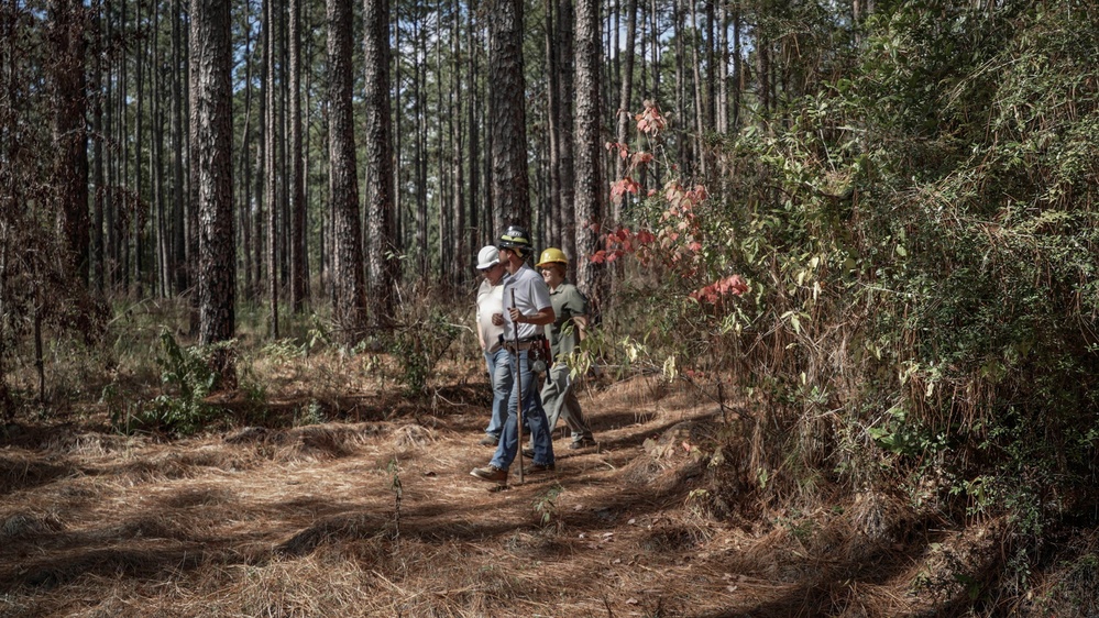 Longleaf Pine Research