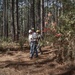 Longleaf Pine Research