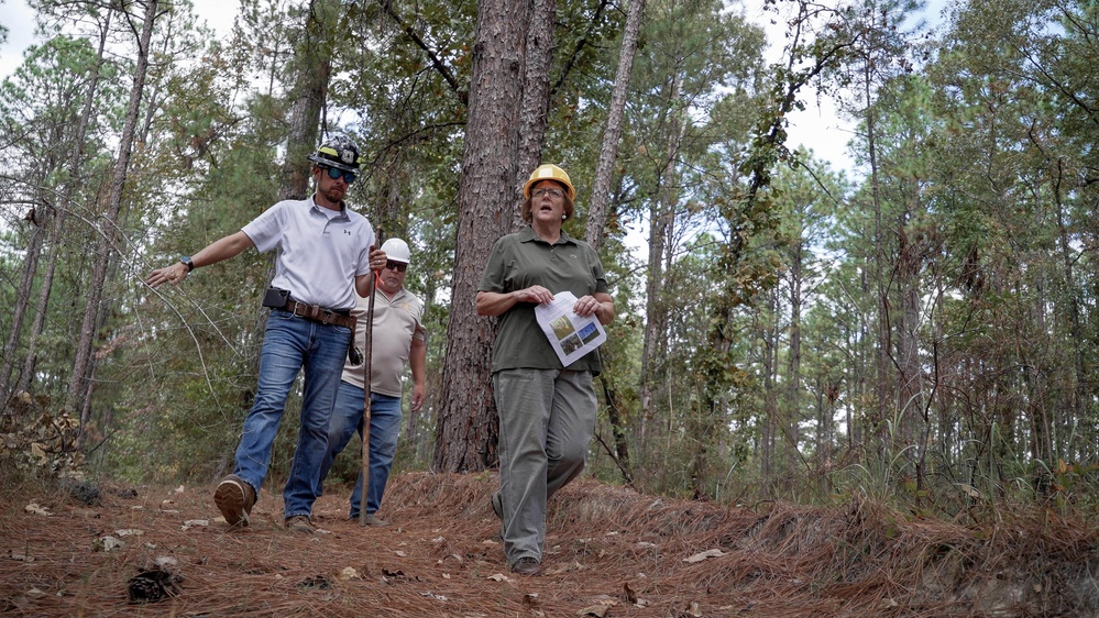 Longleaf Pine Research