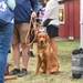 Minnesota State Fair’s 14th annual Military Appreciation