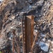 USACE clears debris from final property damaged by 2025 Pacific Palisades Fire.
