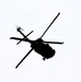 Fort Knox Black Hawks, Chinooks support 78th Training Division CSTX 78-25-02 at Fort McCoy