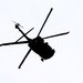 Fort Knox Black Hawks, Chinooks support 78th Training Division CSTX 78-25-02 at Fort McCoy