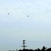 Fort Knox Black Hawks, Chinooks support 78th Training Division CSTX 78-25-02 at Fort McCoy