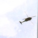 Fort Knox Black Hawks, Chinooks support 78th Training Division CSTX 78-25-02 at Fort McCoy