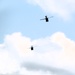 Fort Knox Black Hawks, Chinooks support 78th Training Division CSTX 78-25-02 at Fort McCoy