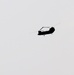 Fort Knox Black Hawks, Chinooks support 78th Training Division CSTX 78-25-02 at Fort McCoy