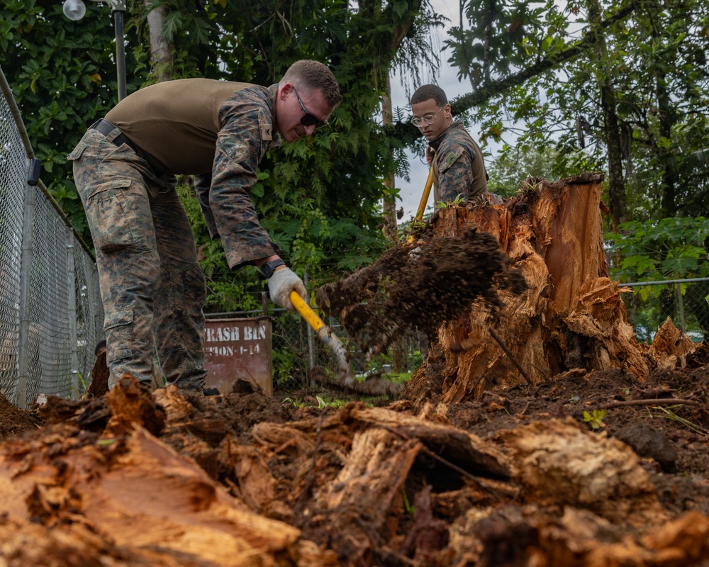 Readiness Meets Reading: Koa Moana Marines and Sailors Help Restore Pohnpei Public Library