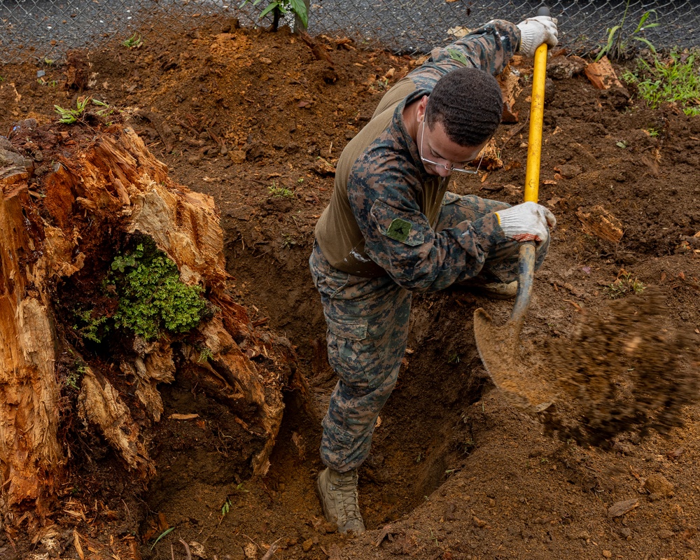 Readiness Meets Reading: Koa Moana Marines and Sailors Help Restore Pohnpei Public Library