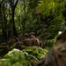 12th LCT Marines Enhance Small Unit Leadership and Tactical Proficiency at Live-Fire Range