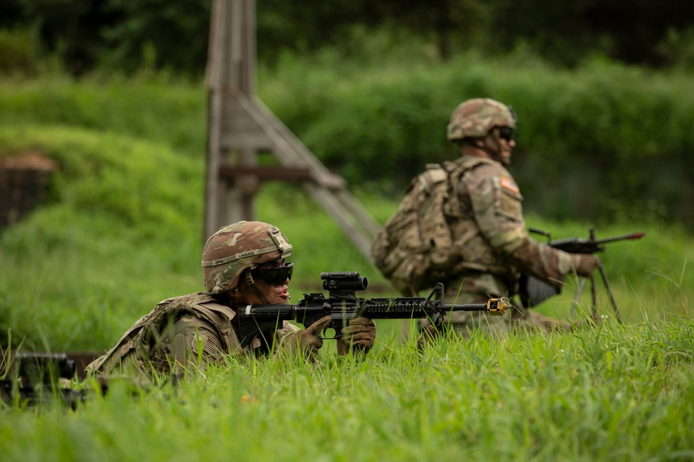 Ulchi Freedom Shield 25: Live Fire Exercise