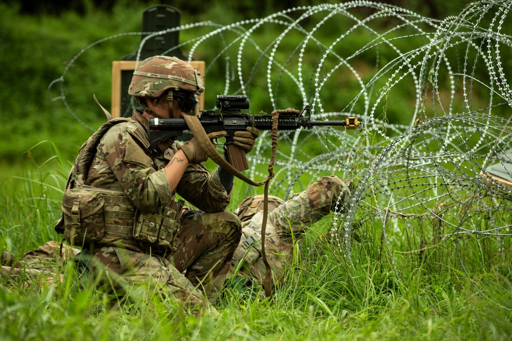Ulchi Freedom Shield 25: Live Fire Exercise
