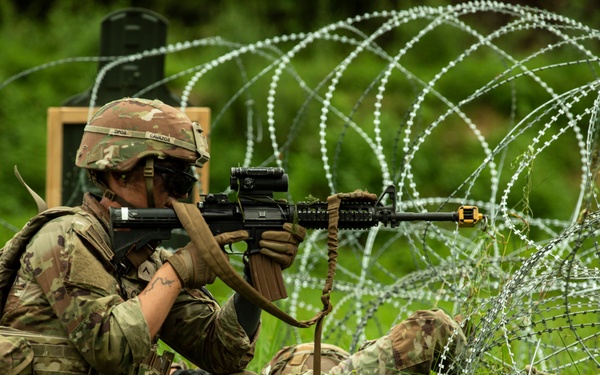 Ulchi Freedom Shield 25: Live Fire Exercise