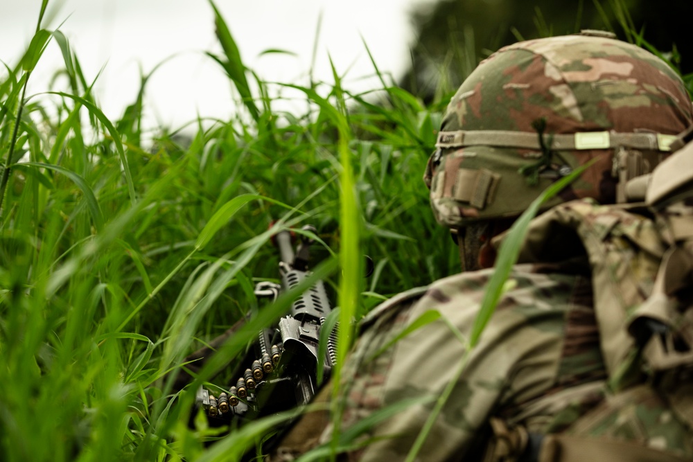 Ulchi Freedom Shield 25: Live Fire Exercise