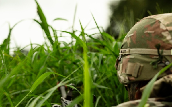 Ulchi Freedom Shield 25: Live Fire Exercise