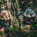 Allied nations prepare for upcoming Jungle FTX during Super Garuda Shield 25