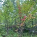 2025 Fall Color