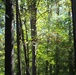 2025 Fall Colors
