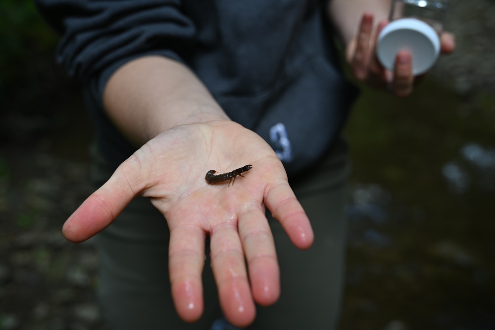 Buffalo District Biologists Study Macroinvertebrates