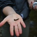 Buffalo District Biologists Study Macroinvertebrates