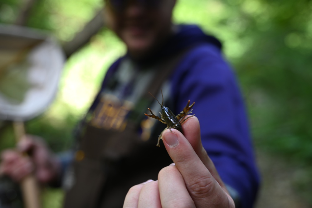 Buffalo District Biologists Study Macroinvertebrates