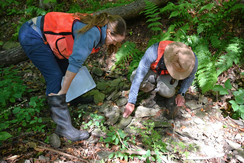 Buffalo District Biologists Study Macroinvertebrates