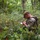 104th Security Forces Squadron Stays Ready with Field Training Exercise