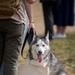 Smokey Celebrates Birthday at The Great American Farmers Market