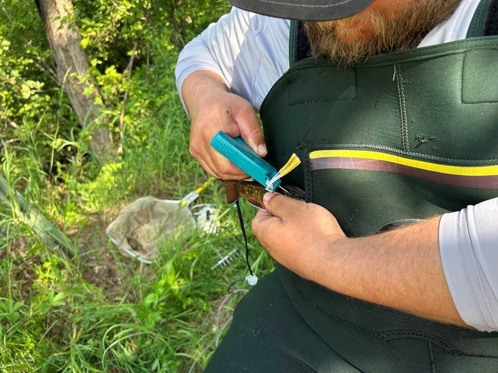 USACE and Stockbridge-Munsee Community Collaborate to Improve Fish Passage in Wisconsin Watershed