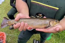 USACE and Stockbridge-Munsee Community Collaborate to Improve Fish Passage in Wisconsin Watershed
