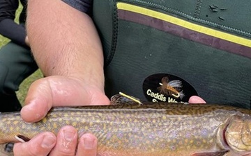 USACE and Stockbridge-Munsee Community Collaborate to Improve Fish Passage in Wisconsin Watershed