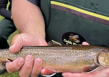 USACE and Stockbridge-Munsee Community Collaborate to Improve Fish Passage in Wisconsin Watershed