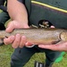 USACE and Stockbridge-Munsee Community Collaborate to Improve Fish Passage in Wisconsin Watershed