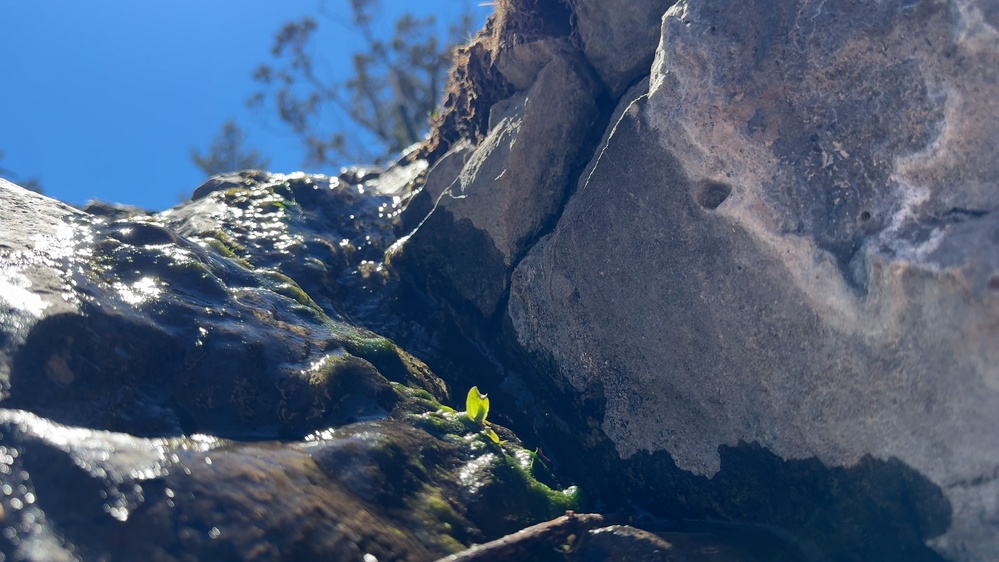 Hopi Waters for Life