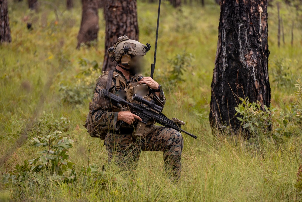 Marines with Infantry Unit Leaders Course participate in a combined arms live fire exercise